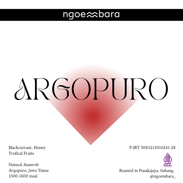 Gambar Arabika Argopuro Natural Anaerob | 200Gram dari Ngoembara Kopi Kab. Subang Tokopedia