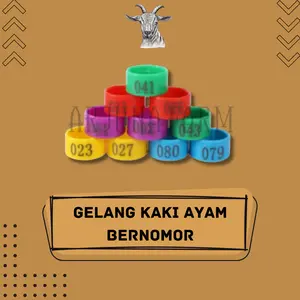 Gelang Kaki Ayam Ukuran 20mm 10 PCS Variasi Nomor