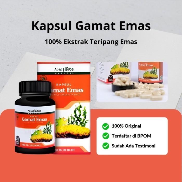 Kapsul Gamat Emas Obat Epilepsi Pada Ibu Hamil, Obat Kejang Kejang Alami