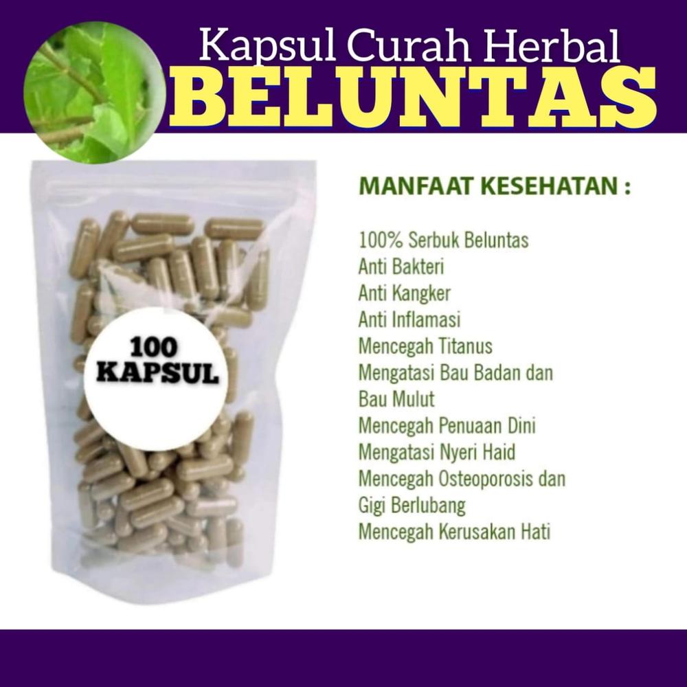 100 kapsul Beluntas Rematik keputihan Migrain