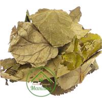 Gambar Jati Belanda dari Rumah Rempah Manisha Solo Kota Surakarta 3 Tokopedia