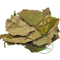 Gambar Jati Belanda dari Rumah Rempah Manisha Solo Kota Surakarta 2 Tokopedia