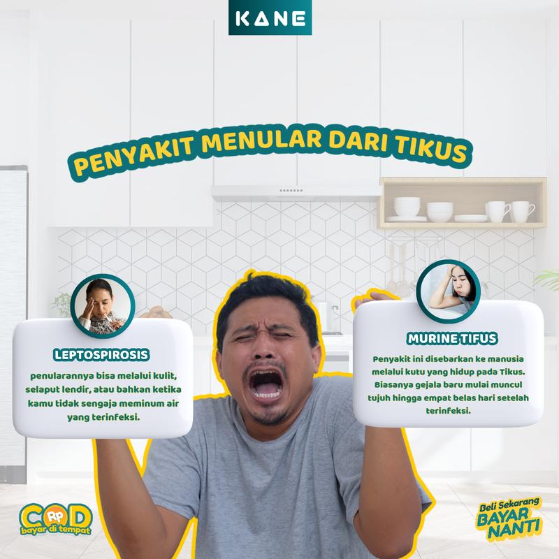 KANE Pengusir Tikus Got Rumah Anti Tikus 250ml Pembasmi Tikus Alami Racun Tikus Cair 3