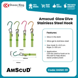 AmScuD Glow Dive Stainless Steel Hook DGSH-01