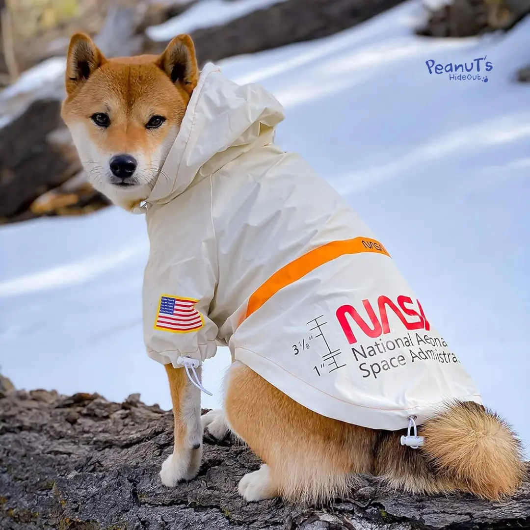 NASA (reflective white) Windbreaker jacket for Dogs (Black) - Baju anjing / dog jacket / dog apparel