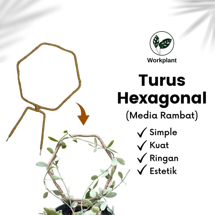 Gambar Turus Hexagonal - Penyangga Rambatan Tanaman Hias Tali Rami dari workplant official Kota Surabaya Tokopedia