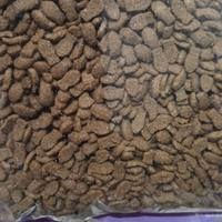 Gambar Makanan Kucing Bolt Tuna Ikan Repack 800Gr dari Opra Pet Shop Kota Tangerang Selatan 3 Tokopedia