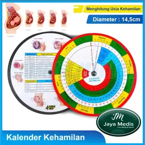 KALENDER KEHAMILAN MENGHITUNG USIA KEHAMILAN
