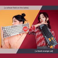 Gambar AIGO A100 MECHANICAL KEYBOARD - Hitam, Biru dari Redcomp Kota Administrasi Jakarta Pusat 1 Tokopedia