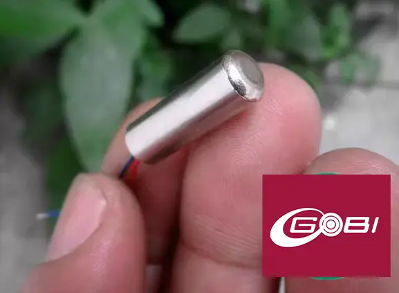Dinamo 612 Vibration Hollow Cup DC 3,7V (8482)