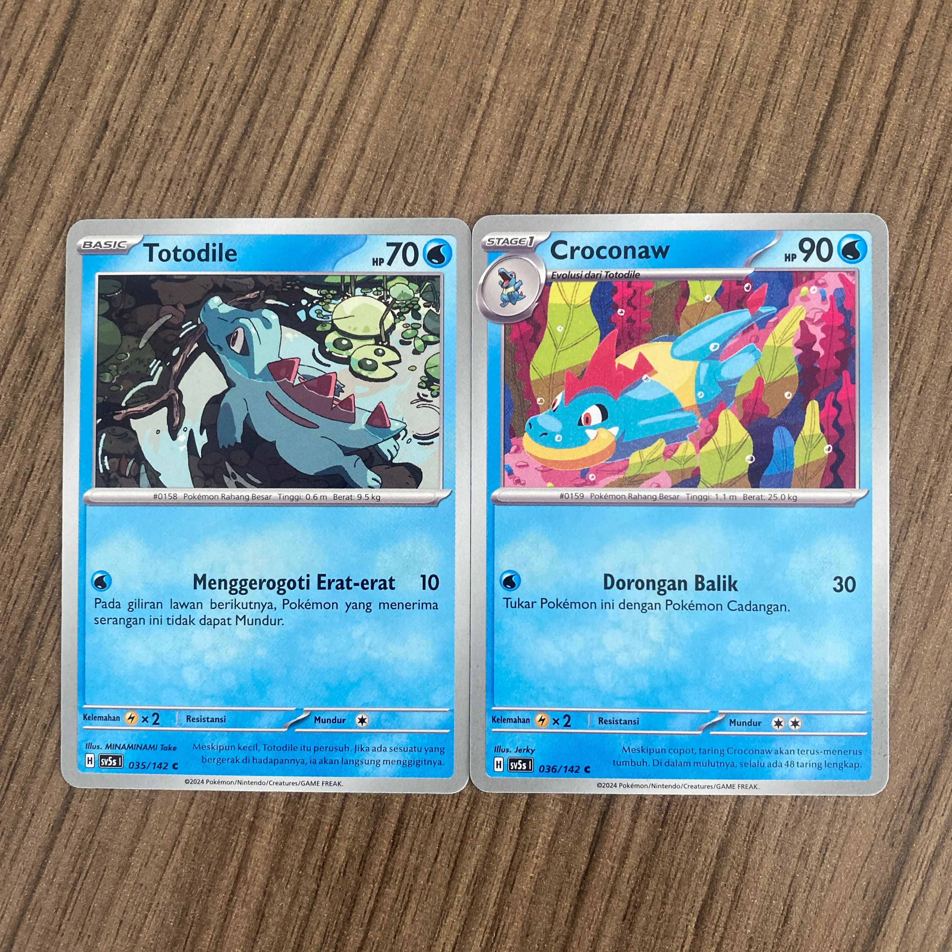 Kartu Pokemon TCG Indonesia Staple sv5s sv8a Totodile Evolin Croconaw
