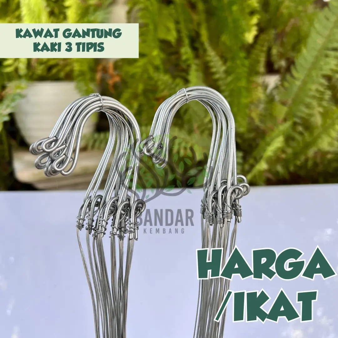 12 PCS Kawat Gantung Bahan Stainless Tipis Kuat Anti Karat Kaki 3 Awet Ekonomis