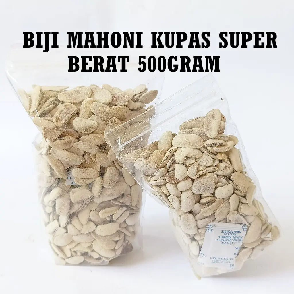 500Gram Biji Mahoni Kupas Kering Kualitas Super