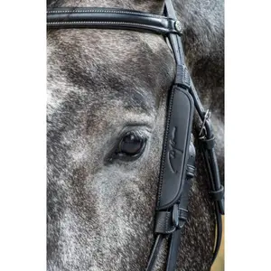 DYON BLINKERS FOR HORSE EQUESTRIAN