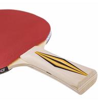 Gambar Bat Tenis Meja Pingpong Original Schildkrot Top Team 300 dari PROCHAMPION Kota Administrasi Jakarta Barat 3 Tokopedia