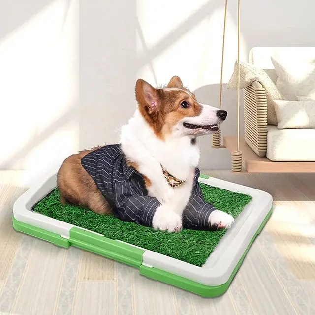 Potty Tray Dog - Pet Toilet Anjing 1