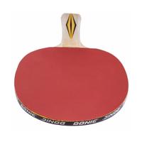 Gambar Bat Tenis Meja Pingpong Original Schildkrot Top Team 300 dari PROCHAMPION Kota Administrasi Jakarta Barat 2 Tokopedia