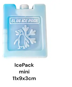 BLUE ICEPACK MINI 11X9X3CM PENDINGIN FROZEN FOOD