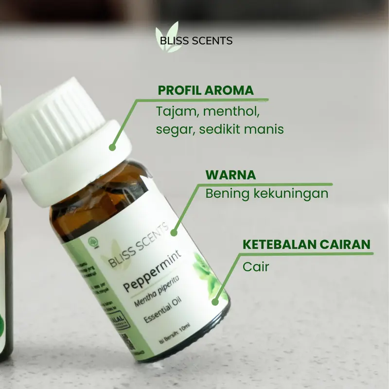 Peppermint Essential Oil Diffuser Aromatherapy Aromaterapi 1