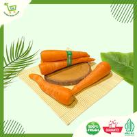 Gambar WORTEL PREMIUM | WORTEL FRESH 100% FRESH & HALAL DARI TAMBAH BUAH DAN SAYUR Harga Per 1 Kg - 500 gr dari Tambah Buah Sayur Kota Administrasi Jakarta Timur 1 Tokopedia