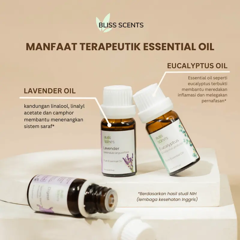 Peppermint Essential Oil Diffuser Aromatherapy Aromaterapi 5