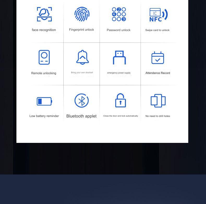 Kunci Pintu Kaca Pintar dengan Pengenal Wajah - Hitam / Facial recognition smart glass door lock