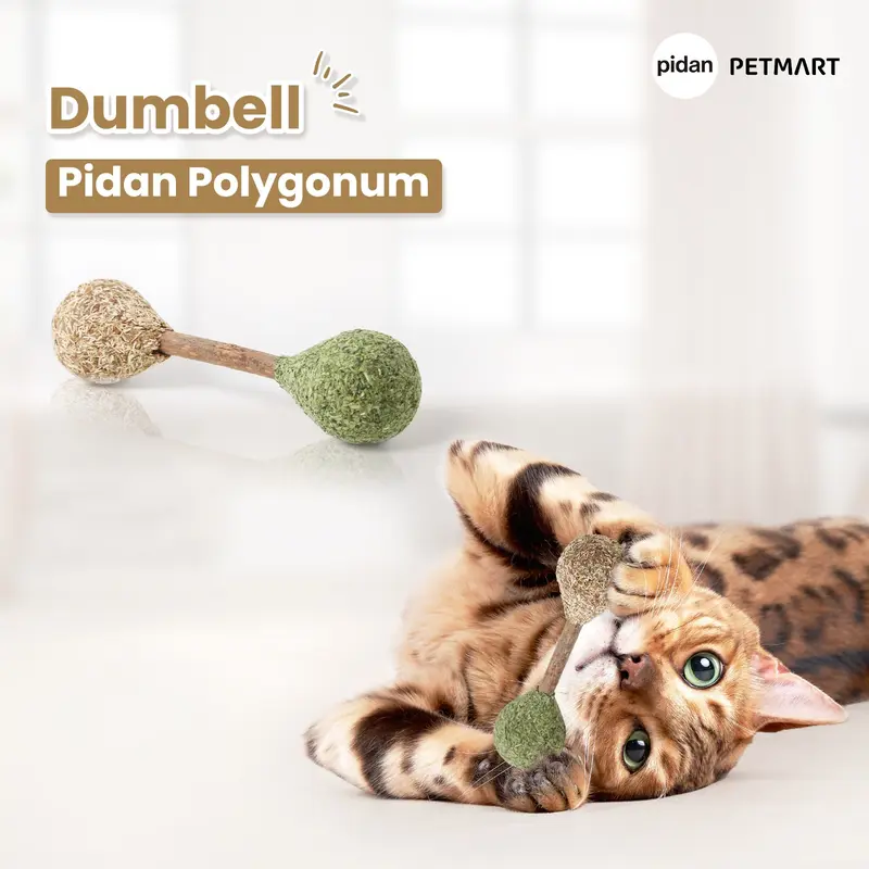 PIDAN Polygonum Cat Toy Catnip Series 4