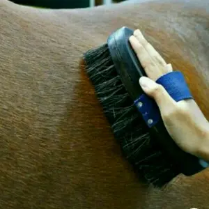 SIKAT KUDA / HORSE BRUSH