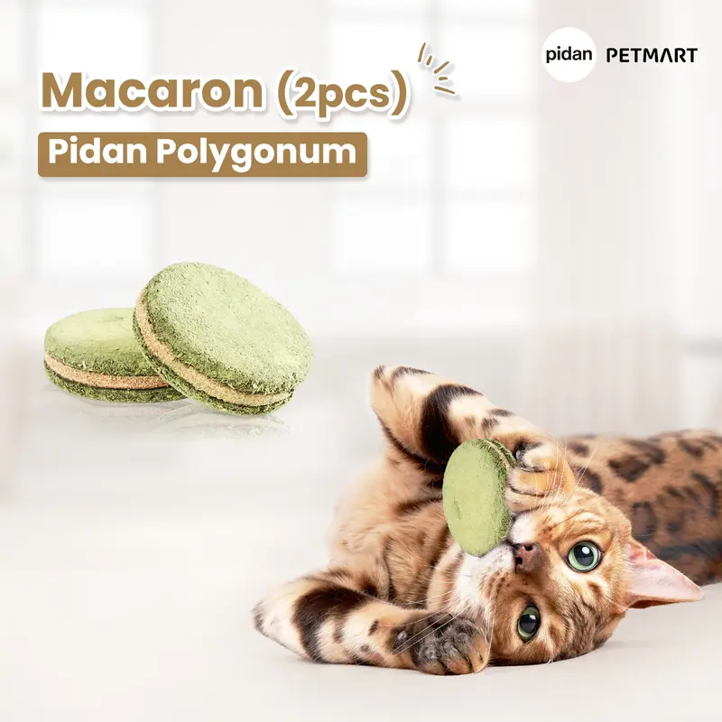 PIDAN Polygonum Cat Toy Catnip Series 5