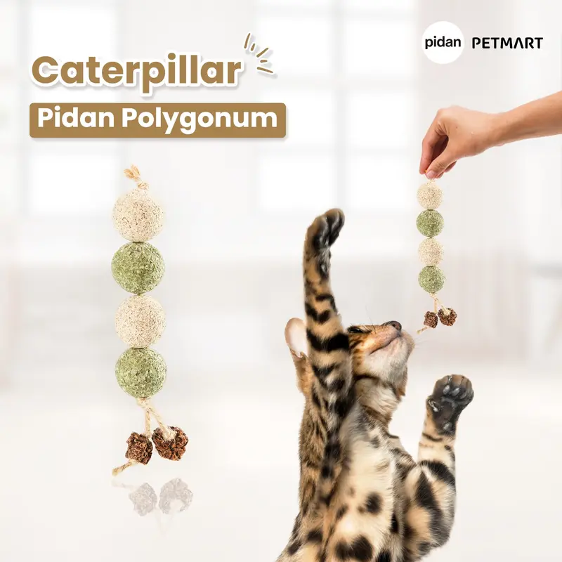 PIDAN Polygonum Cat Toy Catnip Series 3