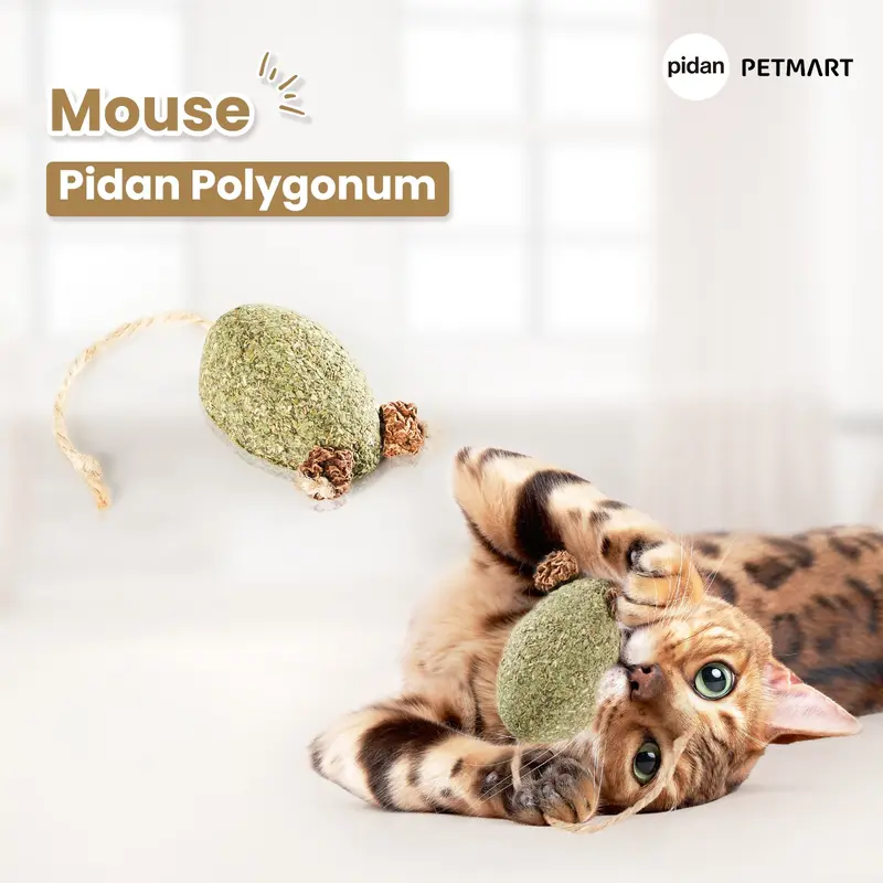 PIDAN Polygonum Cat Toy Catnip Series 6
