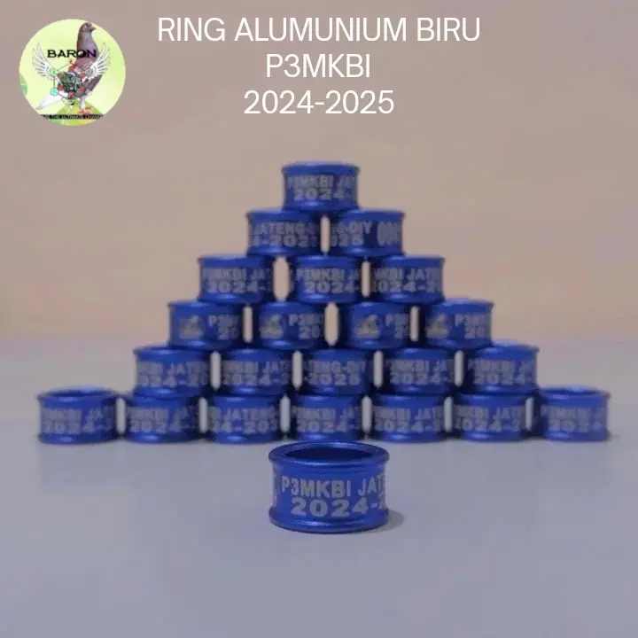RING P3MKBI ALUMUNIUM BIRU 2024 2025