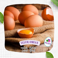 Gambar Aikoku Telur Omega Organik Untuk Hidup Lebih Sehat Isi Pack 10 Btr dari Kak Aikoku Kota Bekasi 3 Tokopedia