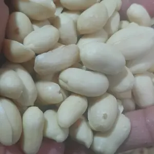 Kacang Tanah Kupas Mentah size jumbo 1 kg