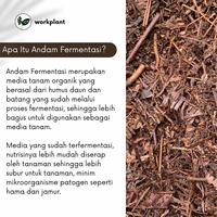 Gambar Andam Fermentasi - Humu Daun Media Tanam Tanaman Hias Penyubur Tanaman dari workplant official Kota Surabaya 2 Tokopedia