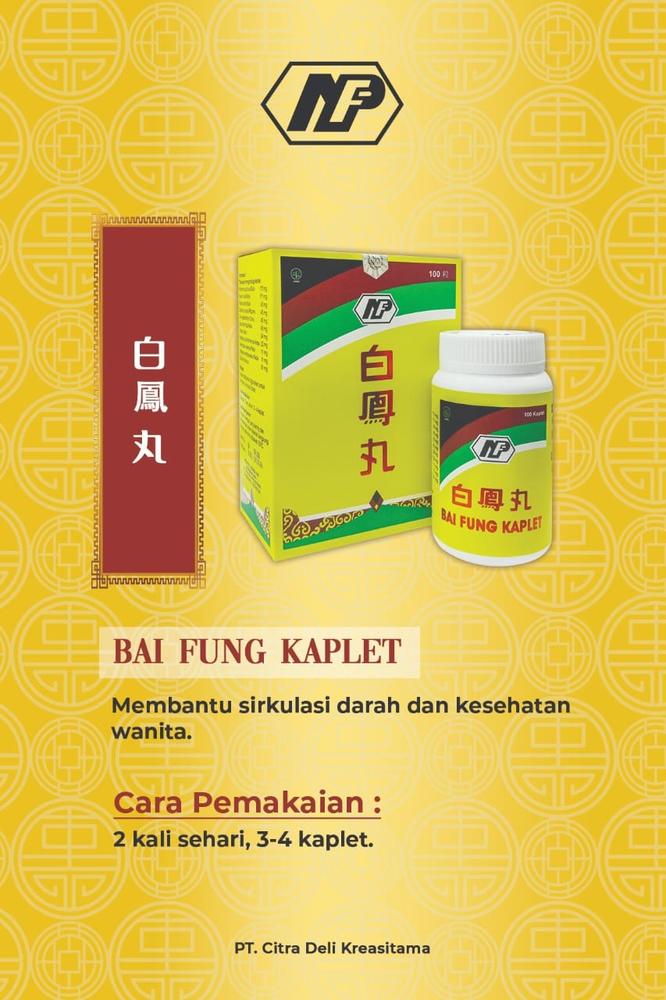白凤丸 BAI FUNG KAPLET 100'S BAI FENG WAN