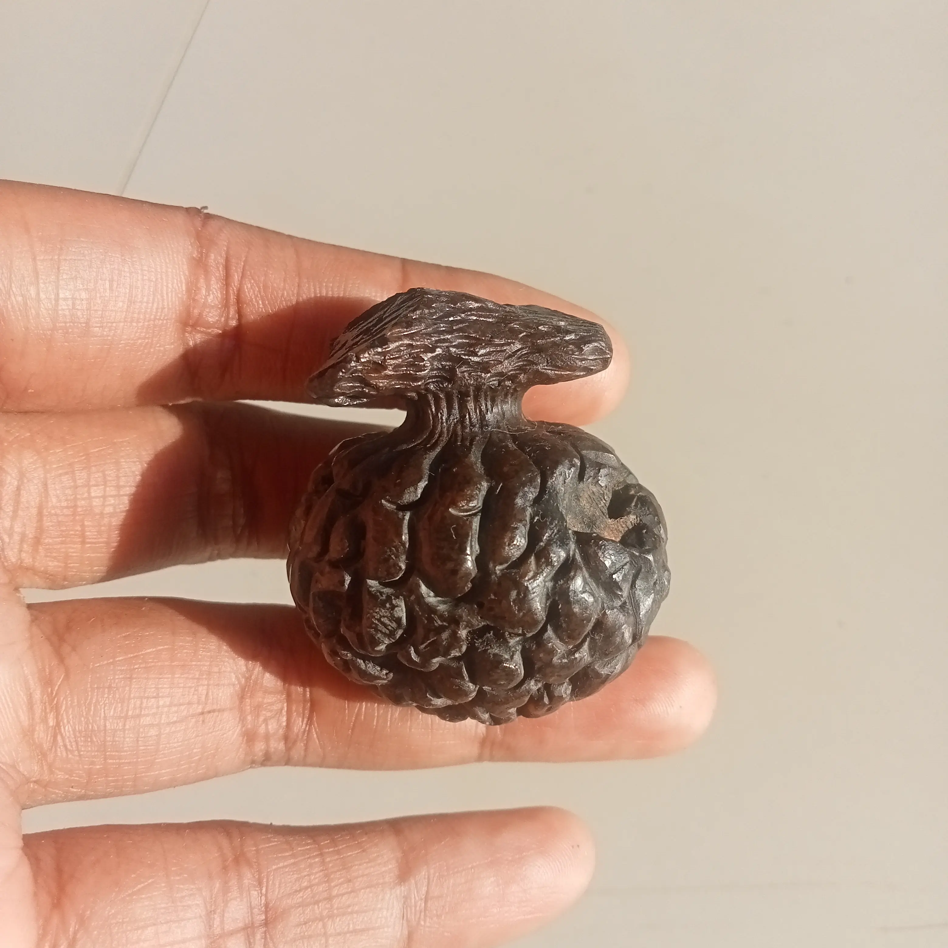batu srikaya unik antik apa adanya