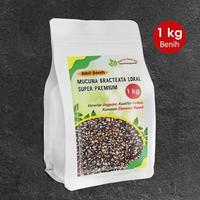 Gambar Benih Mucuna Bracteata premium 1 kg Bonus benih kacangan CM 1 kg dari Nada fast benih jaya Kab. Banyumas 2 Tokopedia