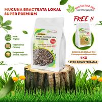 Gambar Benih Mucuna Bracteata premium 1 kg Bonus benih kacangan CM 1 kg dari Nada fast benih jaya Kab. Banyumas 1 Tokopedia