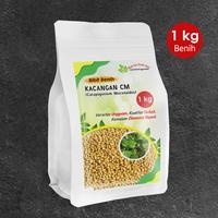 Gambar Benih Mucuna Bracteata premium 1 kg Bonus benih kacangan CM 1 kg dari Nada fast benih jaya Kab. Banyumas 3 Tokopedia