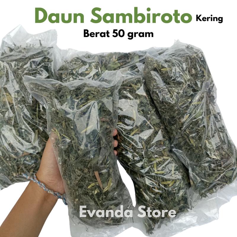 50 Gram TERMURAH Daun Sambiloto daun sambiroto Kering 0