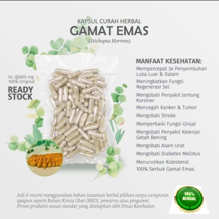 Gambar Gamat Emas Gold G Teripang Emas Super 100 Kapsul dari TERAS HERBAL Solo Kab. Sukoharjo Tokopedia
