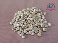 Gambar RAMUAN TEH CHUAN BEI (37 gram) / CHUAN BEI MU / CHUANBEI / FRITILLARY dari TO Riang Ria Kota Administrasi Jakarta Utara 3 Tokopedia