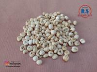 Gambar RAMUAN TEH CHUAN BEI (37 gram) / CHUAN BEI MU / CHUANBEI / FRITILLARY dari TO Riang Ria Kota Administrasi Jakarta Utara 1 Tokopedia