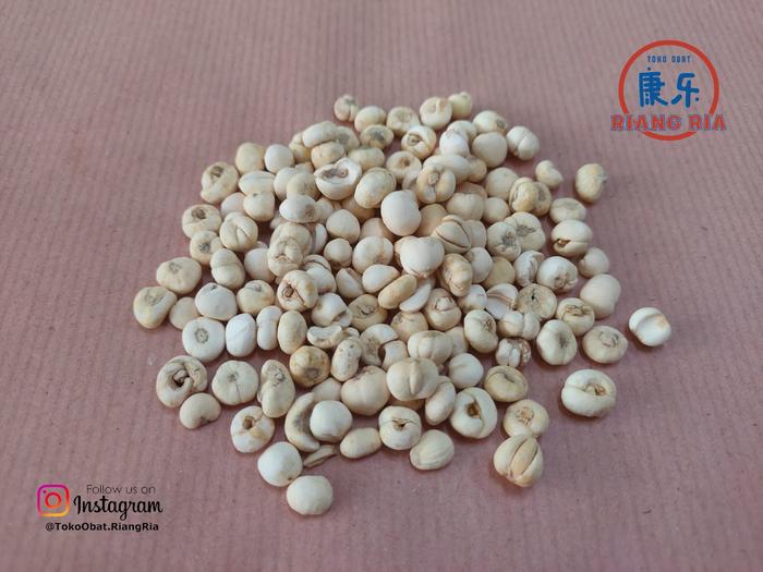 Gambar RAMUAN TEH CHUAN BEI (37 gram) / CHUAN BEI MU / CHUANBEI / FRITILLARY dari TO Riang Ria Kota Administrasi Jakarta Utara Tokopedia