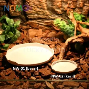 FEEDING DISH REPTIL TEMPAT WADAH MAKANAN KURA KURA DARAT TORTO SULCATA
