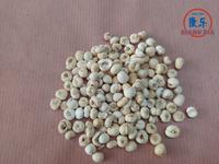 Gambar RAMUAN TEH CHUAN BEI (37 gram) / CHUAN BEI MU / CHUANBEI / FRITILLARY dari TO Riang Ria Kota Administrasi Jakarta Utara 2 Tokopedia