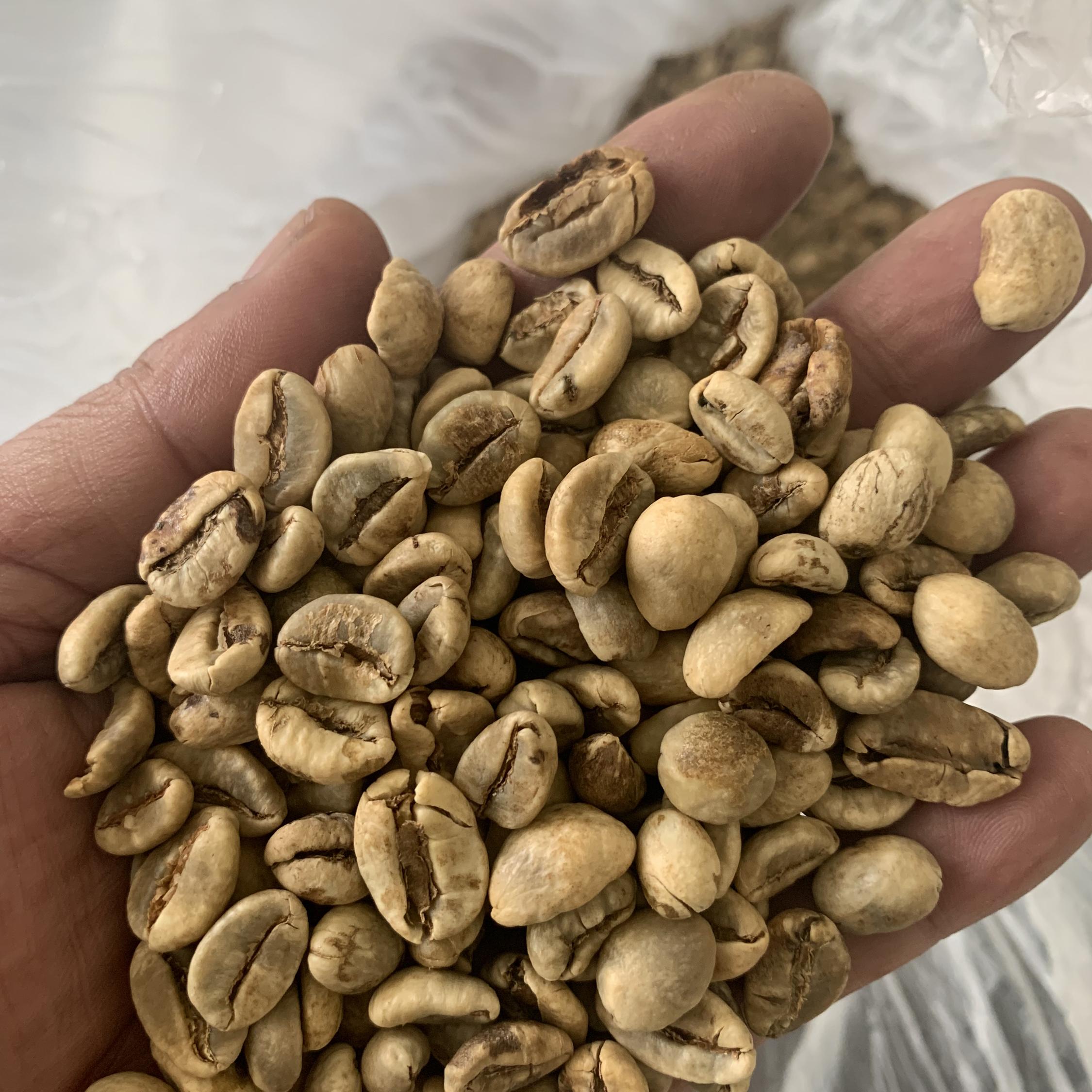 Luce Coffee  ROBUSTA Lampung 240gr - Biji atau Bubuk