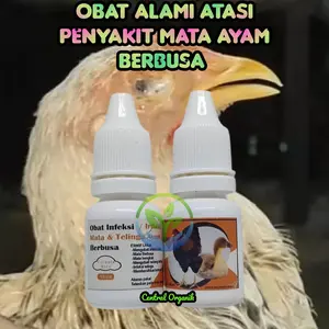 Obat Alami Mata Ayam Berbusa dan Infeksi Telinga