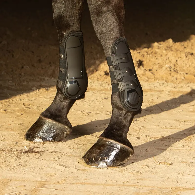 HARRYS HORSE TENDON & FETLOCK BOOTS SET PERCY AIR 5